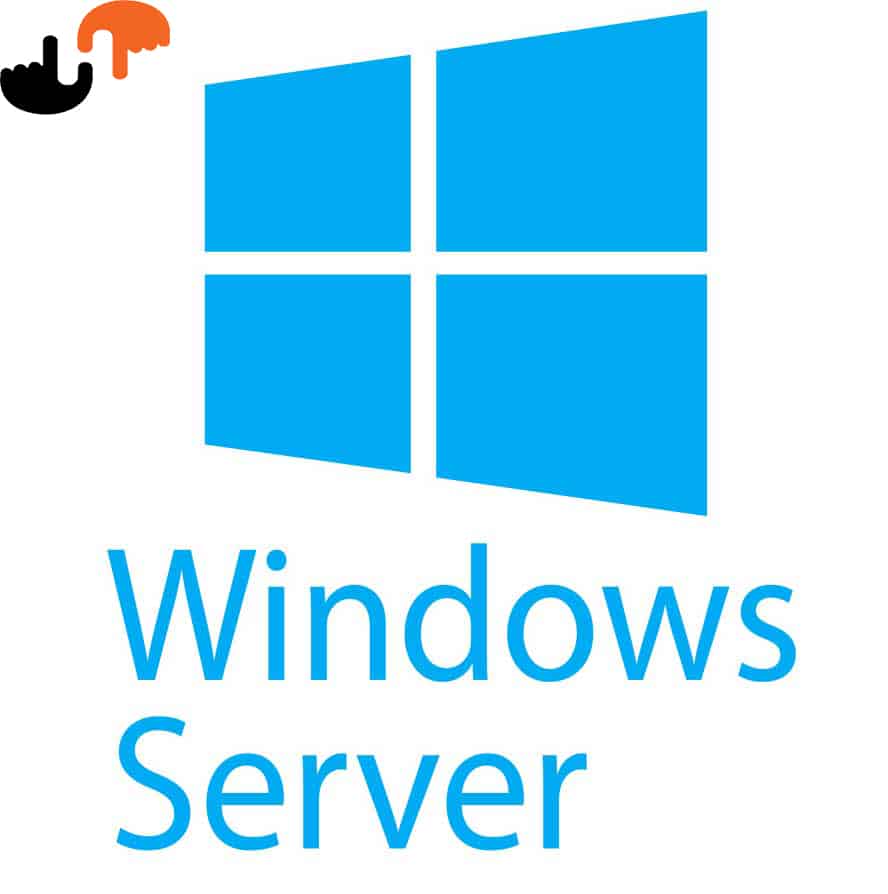 کاربرد Server Windows